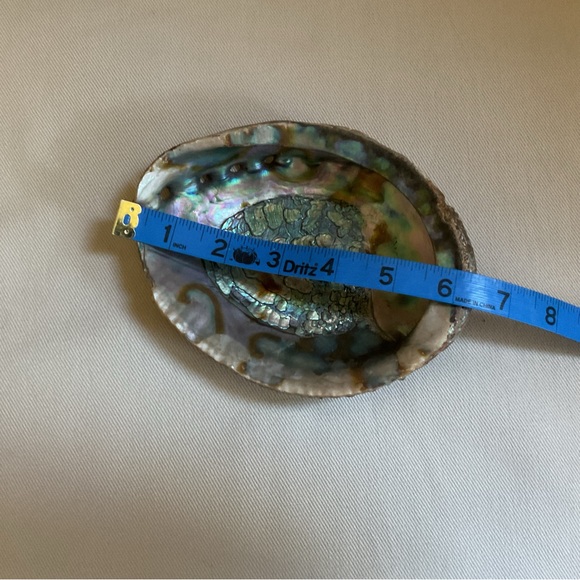 Abalone Shell Bowl + Sage Smudge Stick + Feather *3 Piece Set - Picture 7 of 9